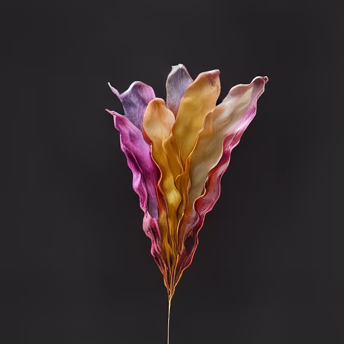 A flower that is in a vase on a table