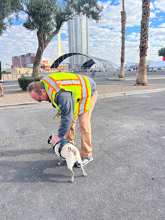 A man in a safety vest and a dog on a leash.
