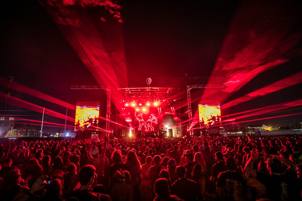 dog blood stage