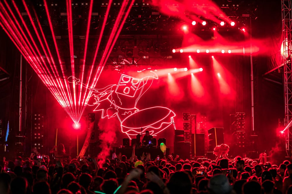 dog blood stage