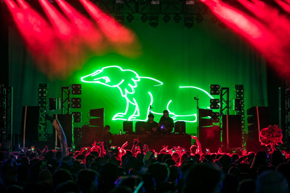 dog blood stage