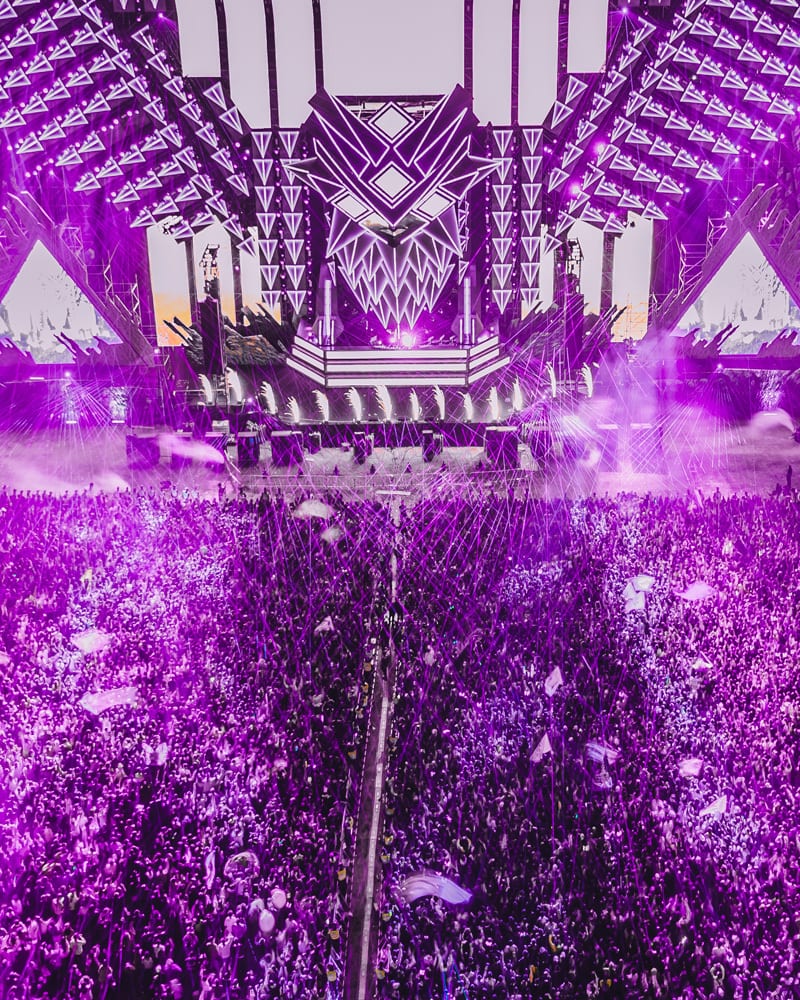 electric jungle china