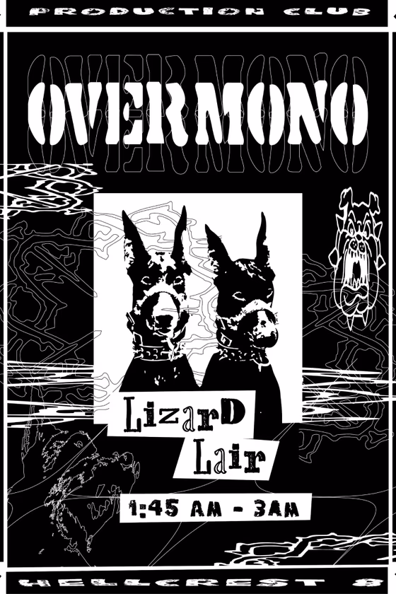 Artist flyer