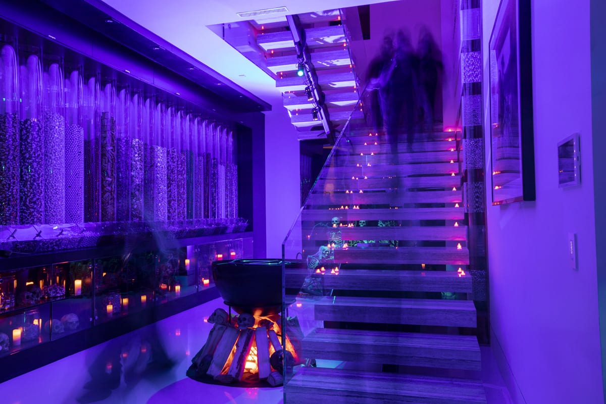 Notch's House