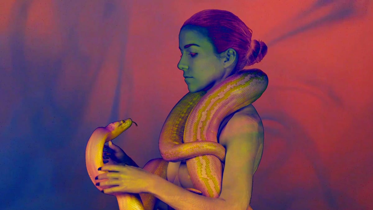 Kill the Noise Visuals vol.I snake