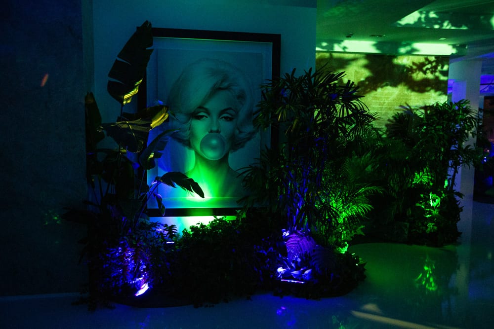 jungle house party