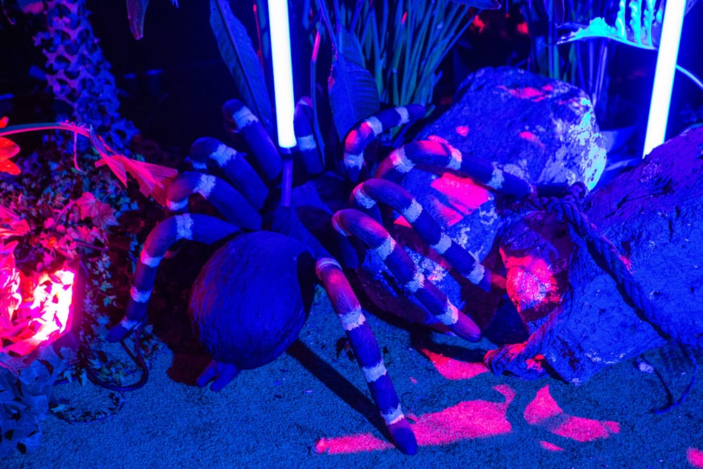spider sculpture