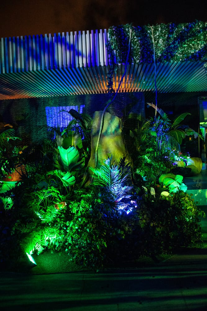 houseplant lights