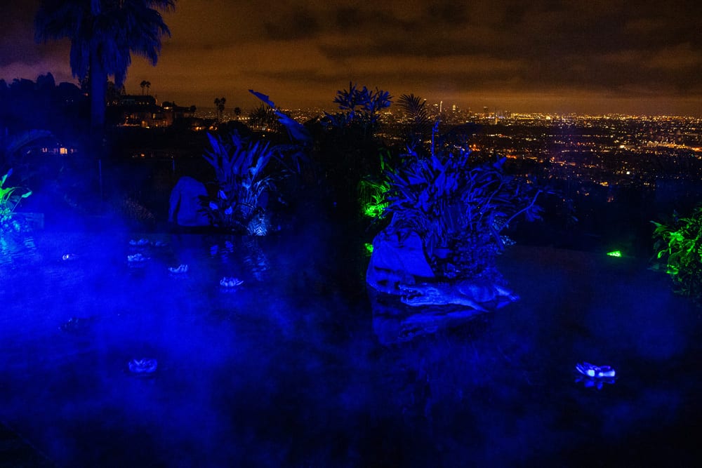 beverly hills party