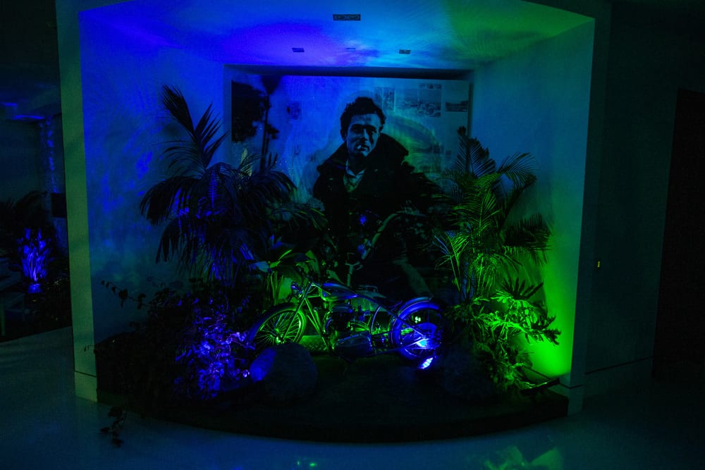 jungle party