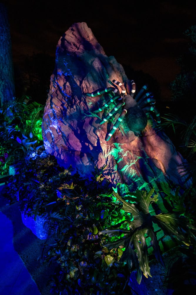 jungle themed party