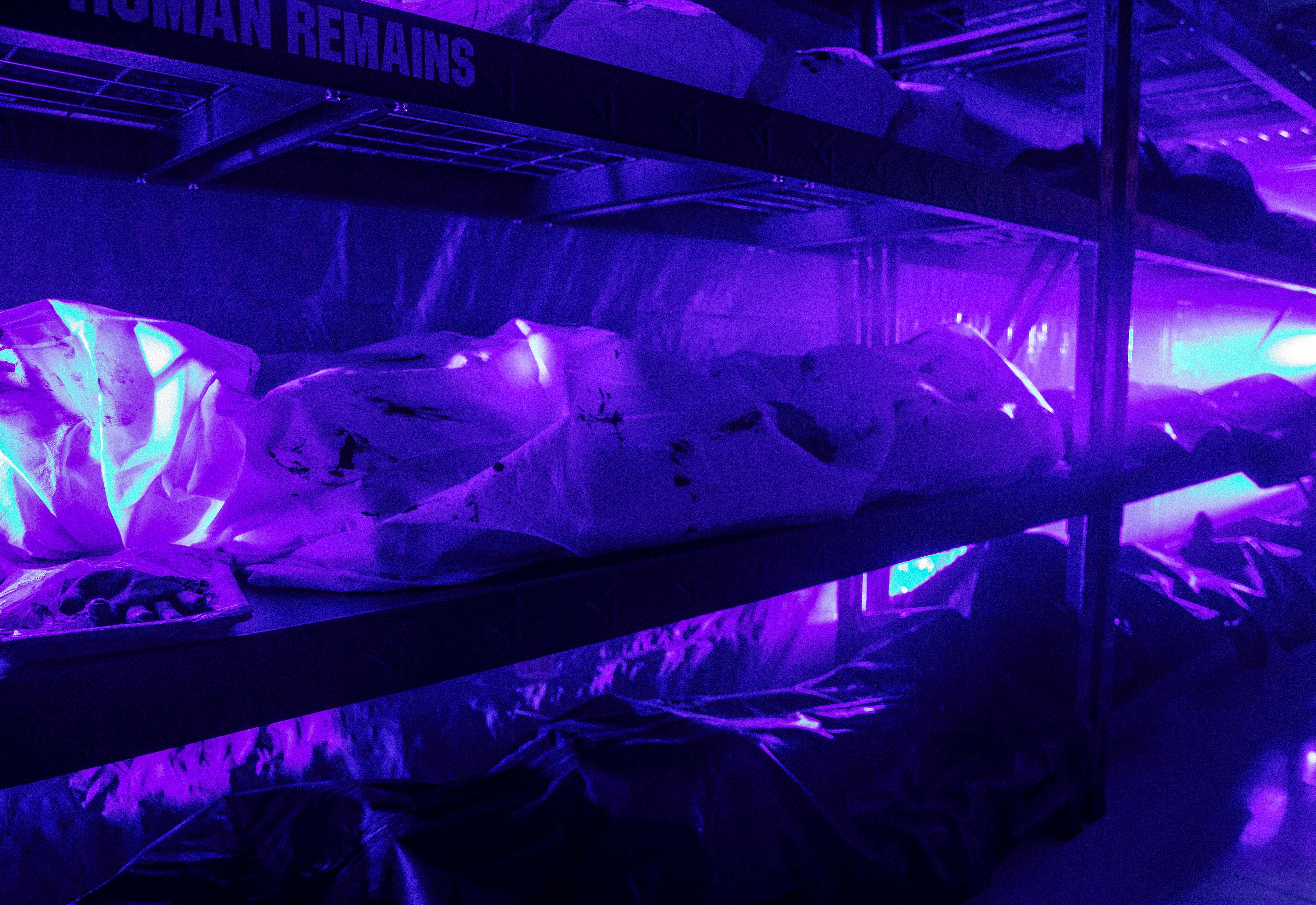 Rows of covered human-shaped figures lying on metal shelves under purple lighting.