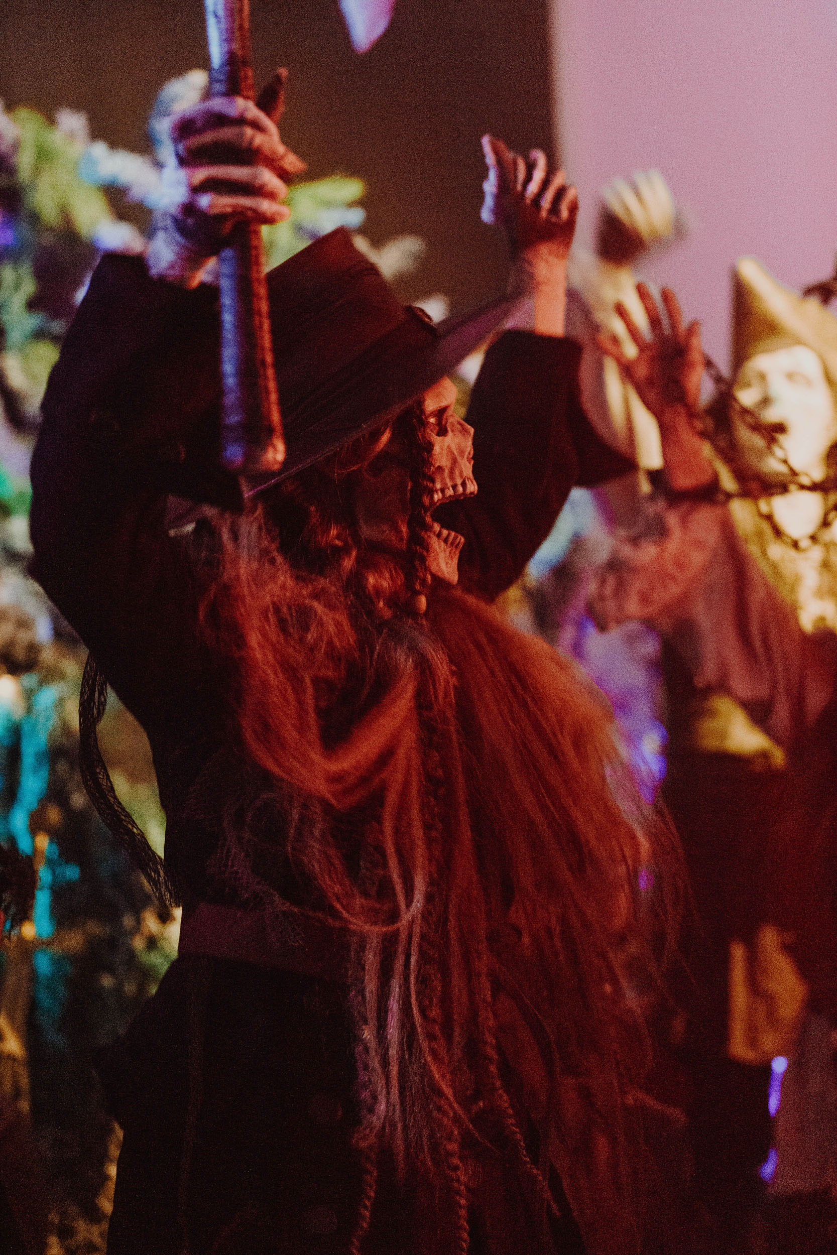 skeleton troll witch