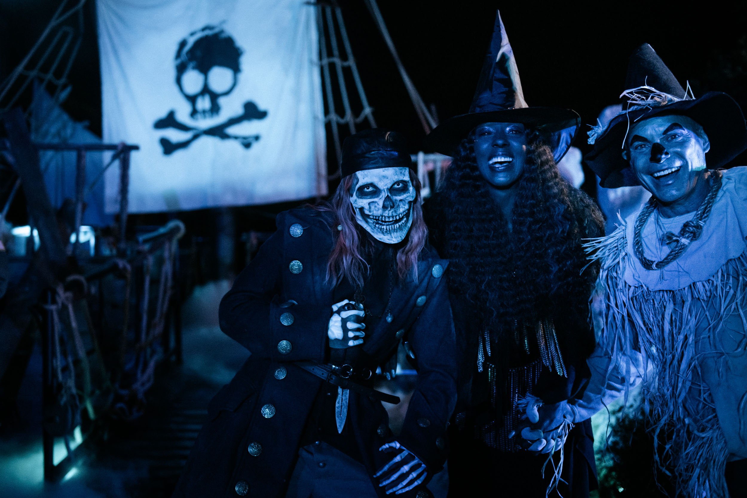 halloween pirate skeleton
