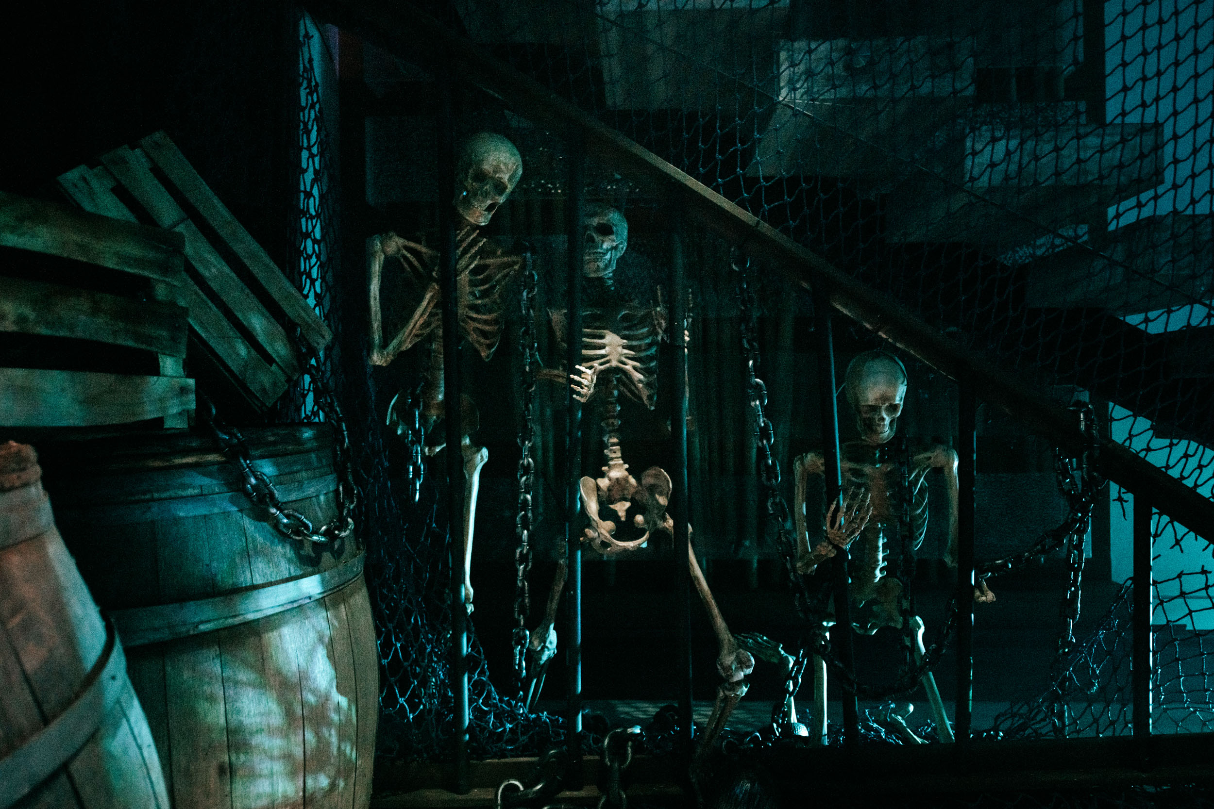skeleton cellar