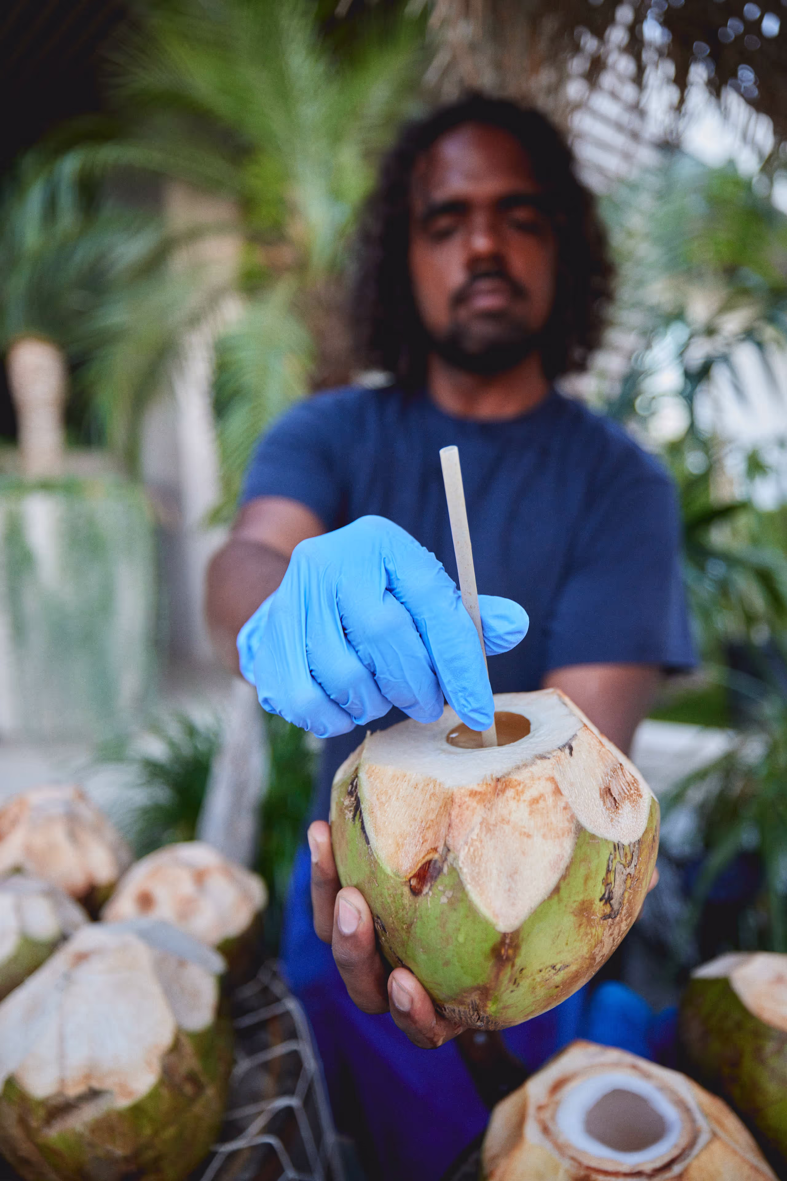 A man in blue gloves holding a coconut.