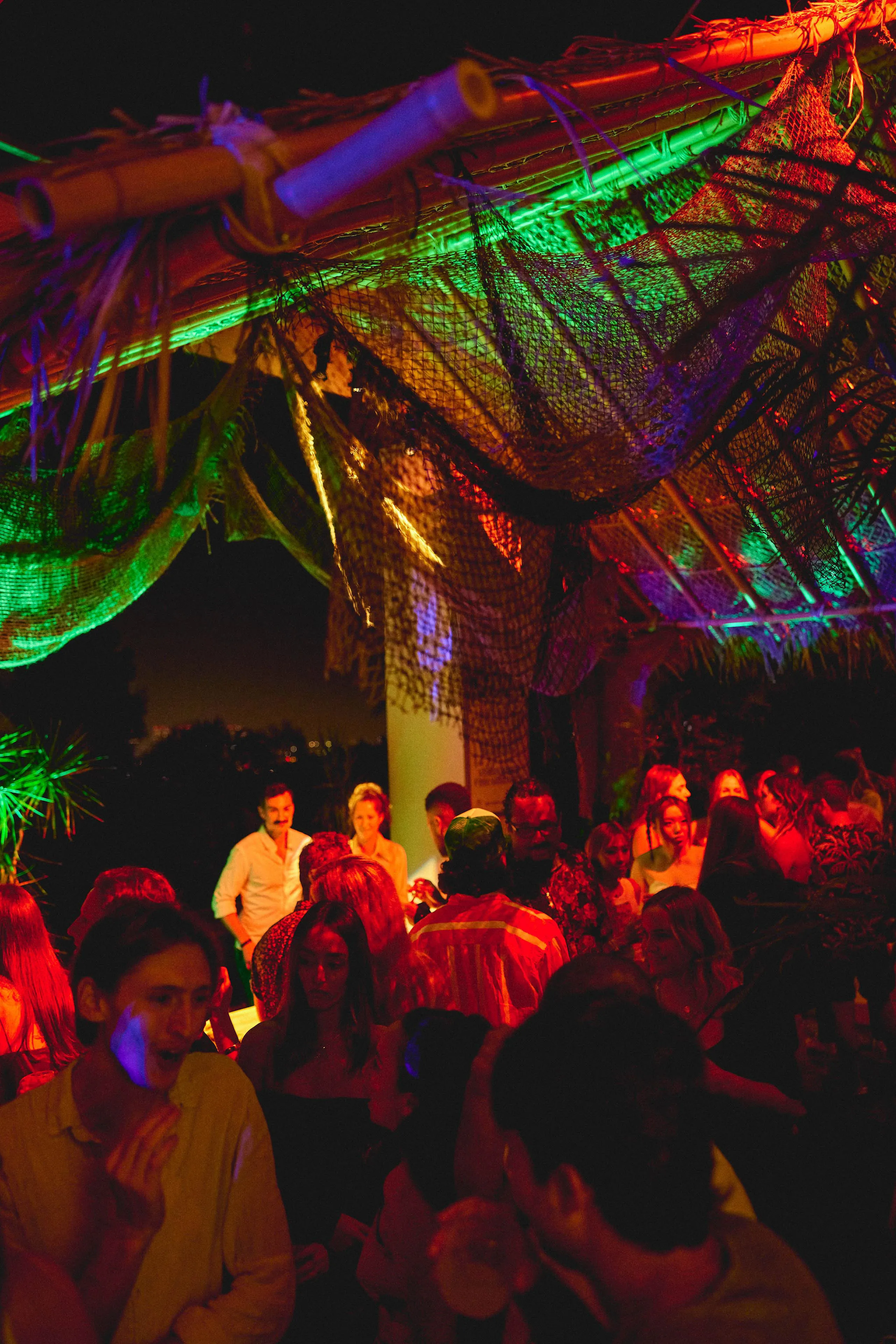 house transformed into a tropical forest