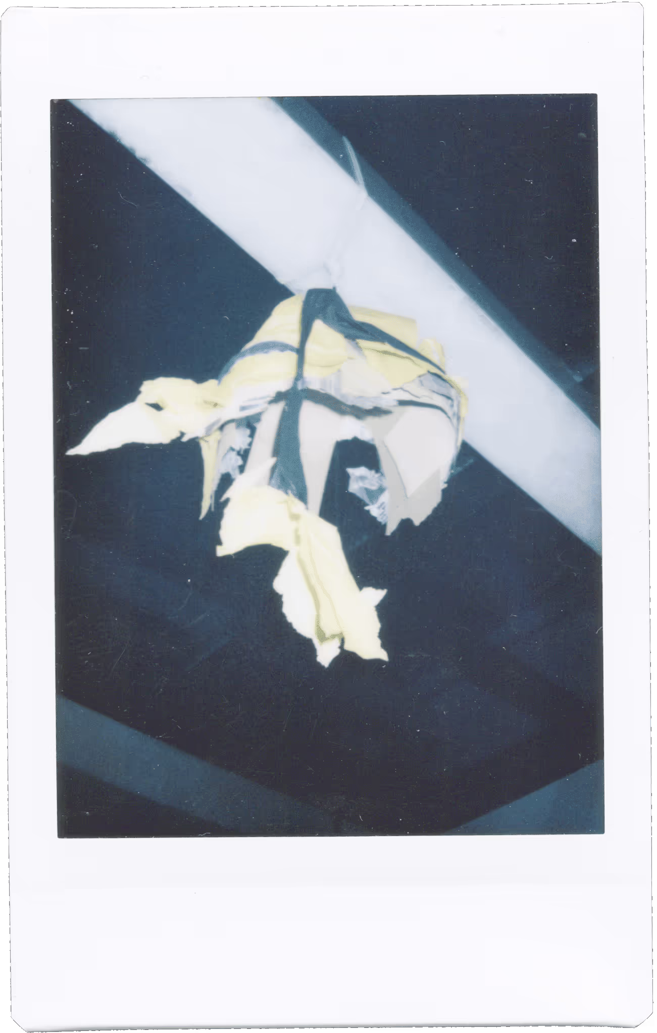 A picture of a flower hanging from a ceiling.